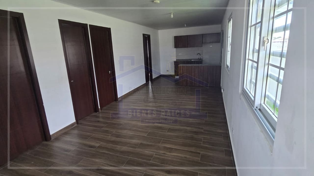 pagina acordeon (15) (1)