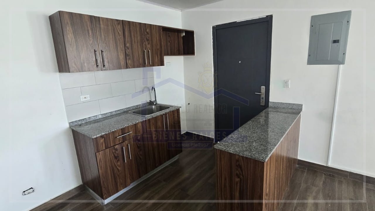 pagina acordeon (16) (1)