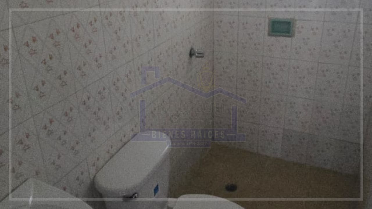 pagina acordeon (53) (1)