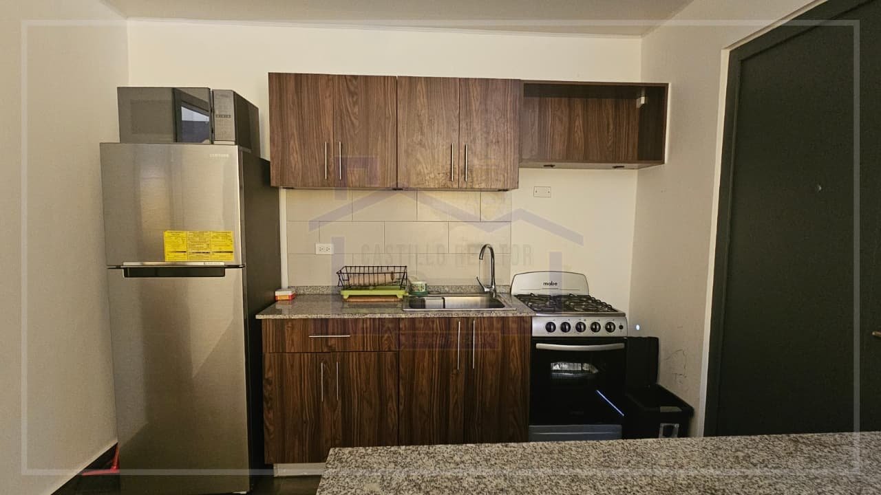 pagina acordeon (7) (1)