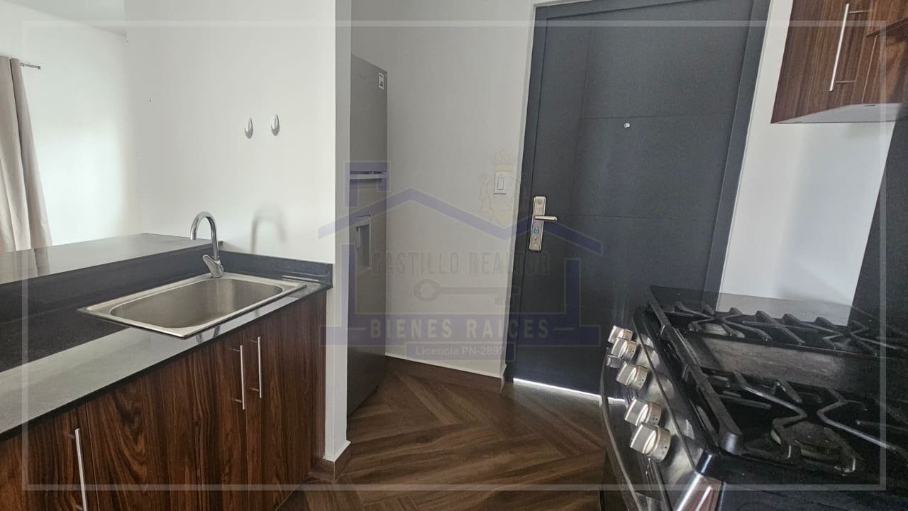 pagina acordeon (77) (1)