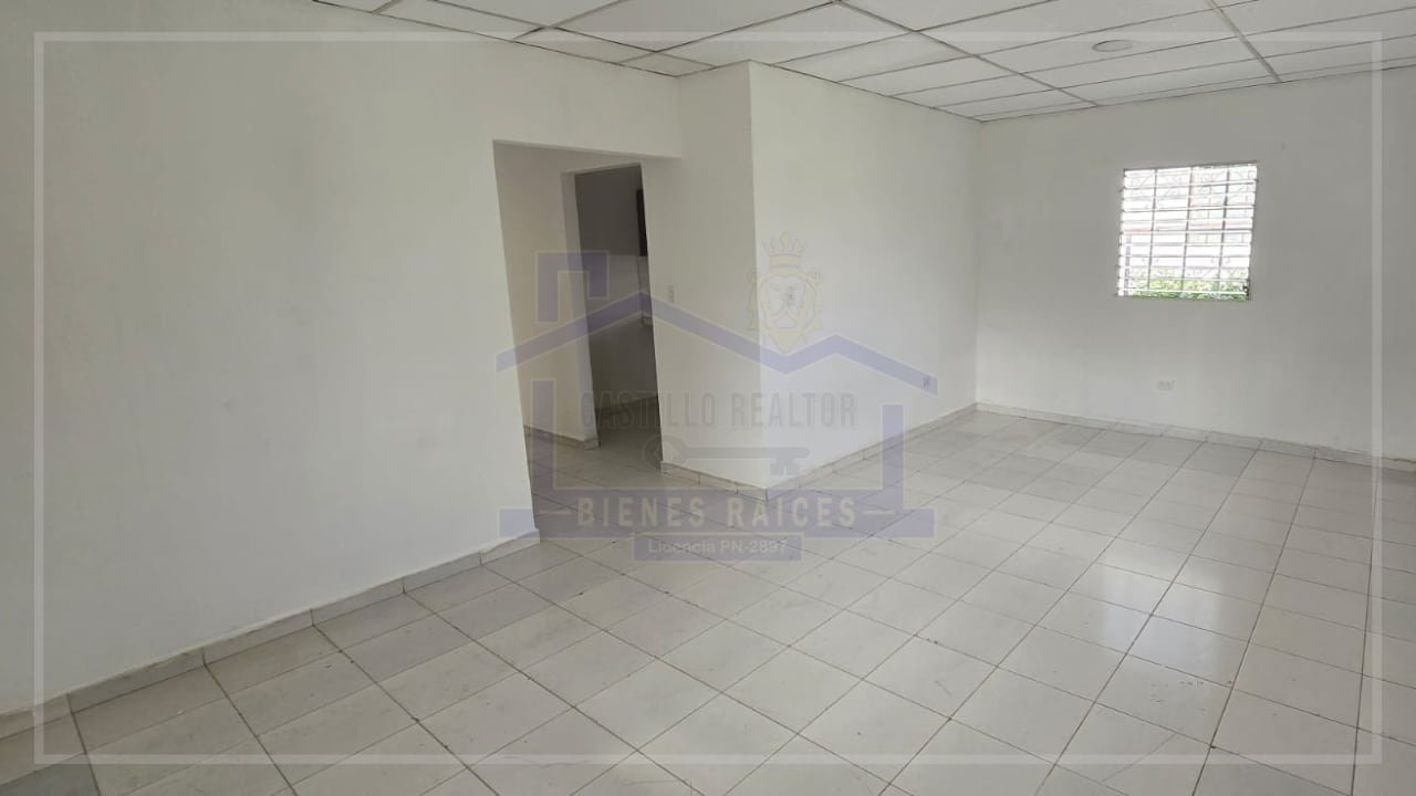 pagina acordeon (87) (1)