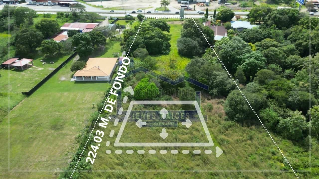 TERRENOS WEB CASTILLO REALTOR (11) (1)