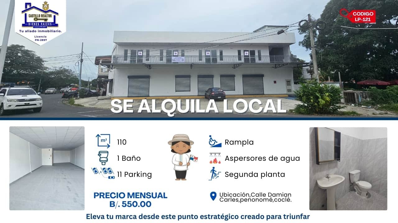 LOCALES WEB CASTILLO REALTOR (3) (1)