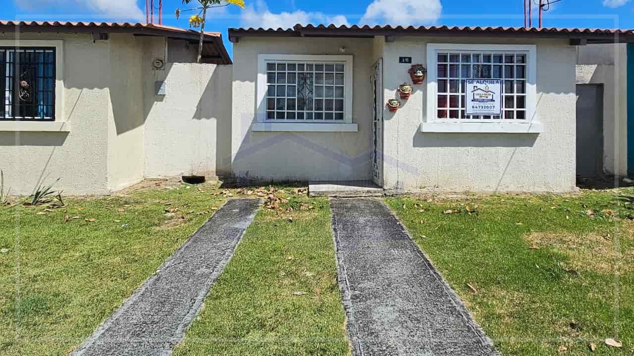 pagina acordeon - 2026-01-13T101736.908 (1)